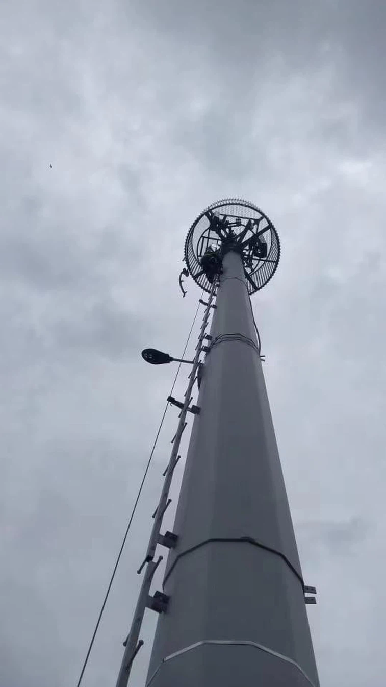 20230315115941 20230315115941