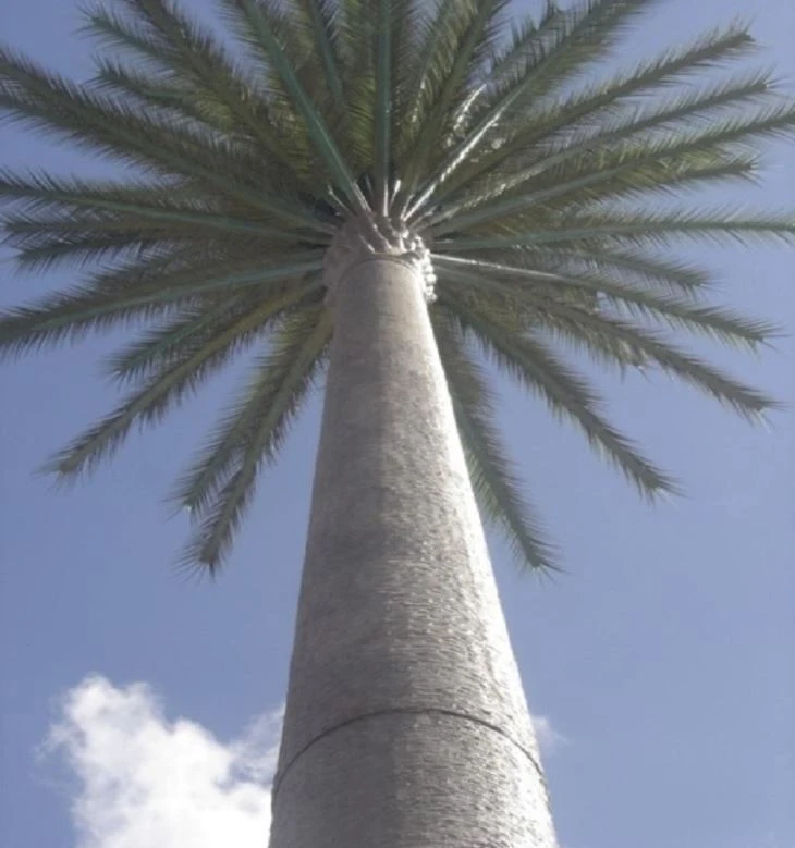 Camouflaged Coconut Tree Towers