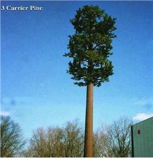 Torre de telecomunicaciones de árbol de pino disfrazado de mono-pino de antena de piel de coco
